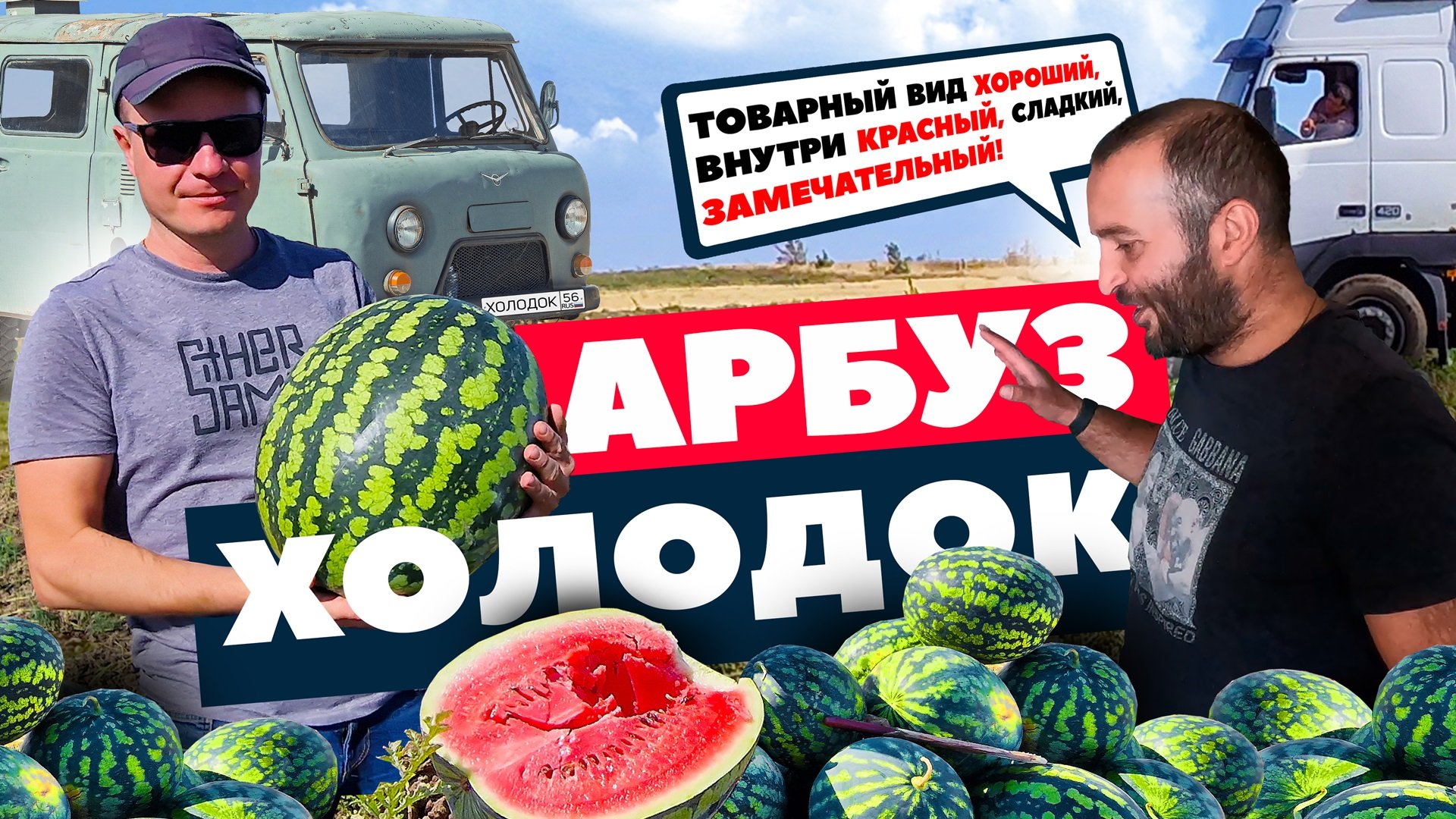 Арбуз Холодок ? смотреть онлайн