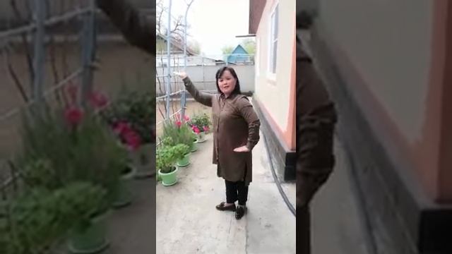 Движение казахского танца смотреть онлайн