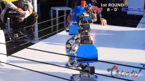 Современные бои роботов в Японии