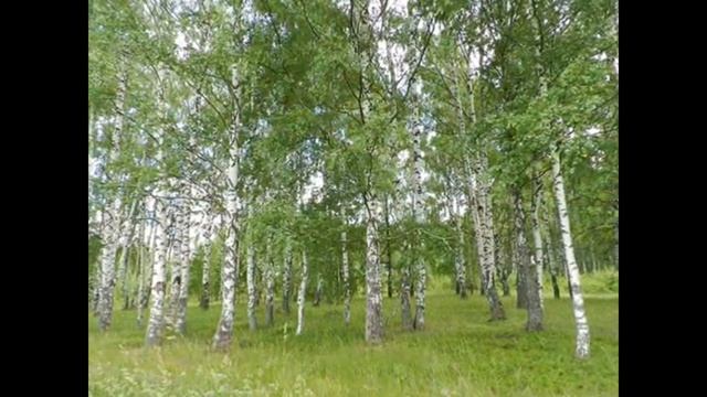 Григорий Ткач Над окошком месяц смотреть онлайн