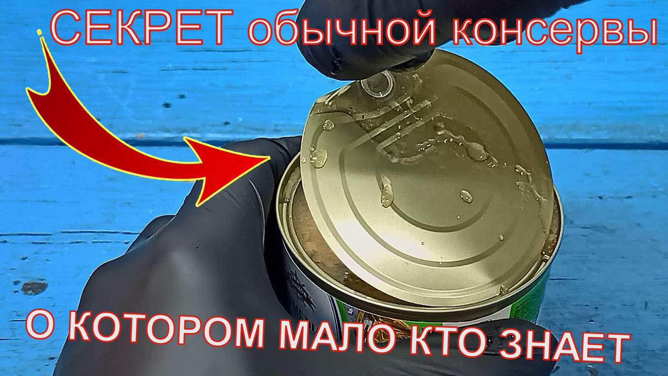 ВОТ почему НАС НЕ ПОБЕДИТЬ! Мало кто знает об этой ФУНКЦИИ обычной консервы смотреть онлайн