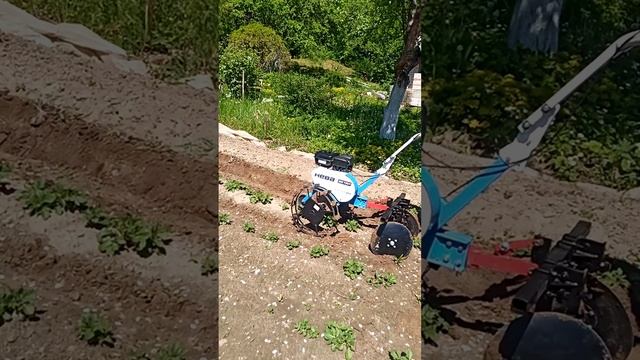 Окучник дисковый регулируемый Мобил К и Нева 100р смотреть онлайн