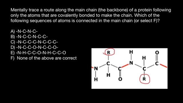 Amino acid's basics смотреть онлайн