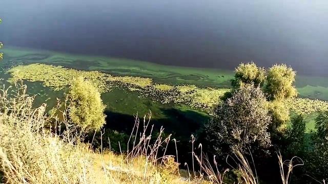 Готовим кофе на костре. Утро в палатке, вылазка на мото. #5 смотреть онлайн
