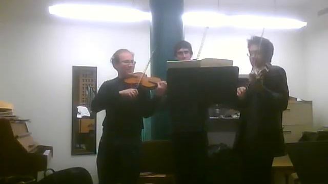 Franz Schubert-Sonatina For Violin And Piano No. 1 In D Major, D 384/I. Allegro Molto