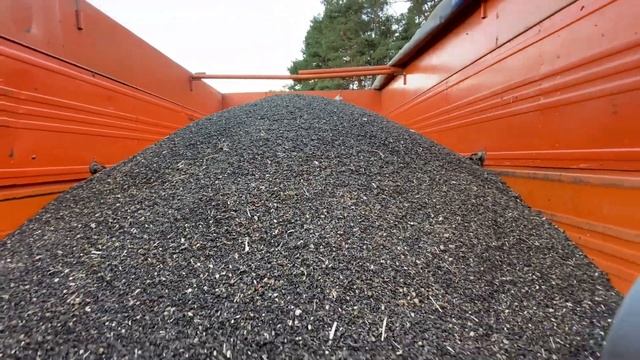 Це фіаско ч3❗️Джон Дір знову виносить мізки⁉️JohnDeere 9600,ХТЗ 243к?Все буде Україна?? смотреть онлайн