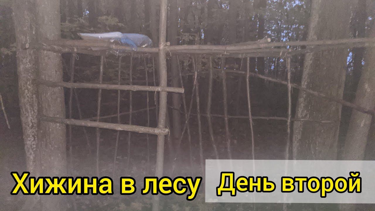 Хижина в лесу, моя давняя мечта. День второй смотреть онлайн