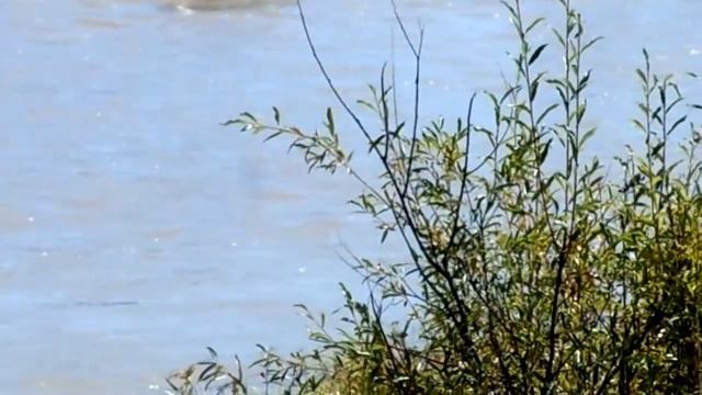 Брод через Карагужиху. смотреть онлайн