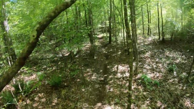 5/3/2020 Single Track Woods Riding Suzuki RMZ250 Crash смотреть онлайн