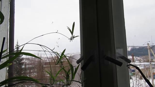Смотрю на мир... смотреть онлайн