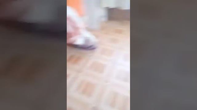 РумТур по моему дому, пытаемся найти следы домового!!!😨😧 смотреть онлайн