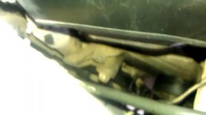 Замена приводного ремня Toyota Corolla E120 2002-2008 снова порвался Dayco