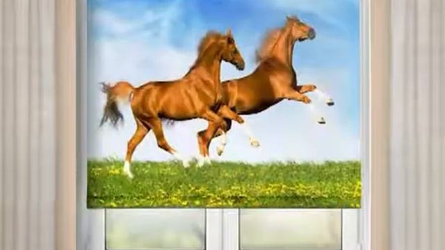 Фотожалюзи и Фотошторы! (ч3) смотреть онлайн