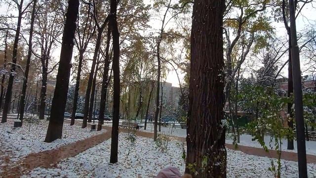 Бишкек бульвар Эркиндик 04.11.2021г смотреть онлайн