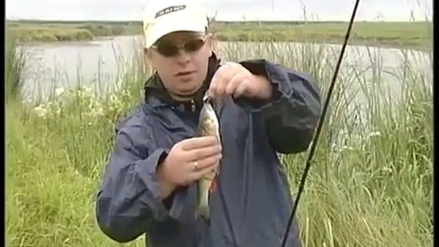 Ловля нахлыстом голавля, нахлыстовые мушки. смотреть онлайн