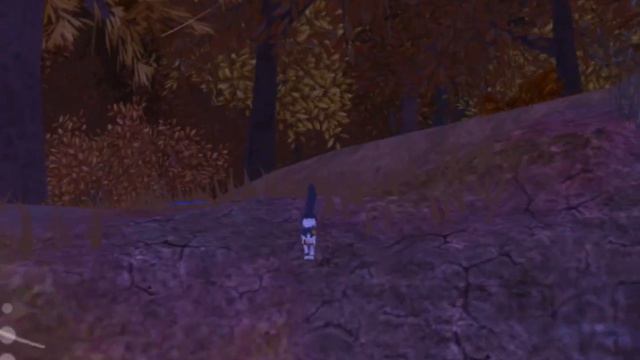 Воу новое видео по WCUE/съёмочная в описании/warrior cat смотреть онлайн