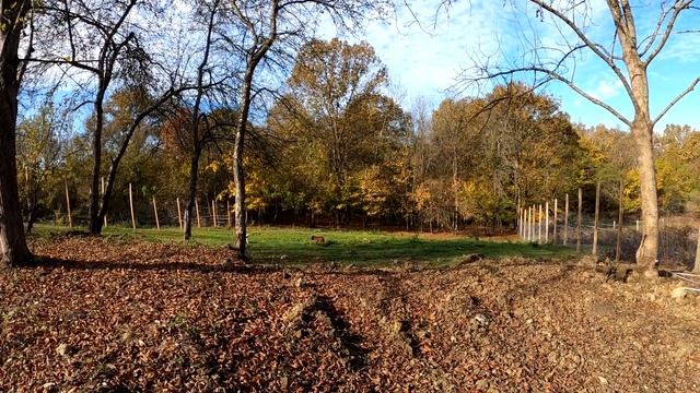 Спайк на следующий день после драки.... смотреть онлайн