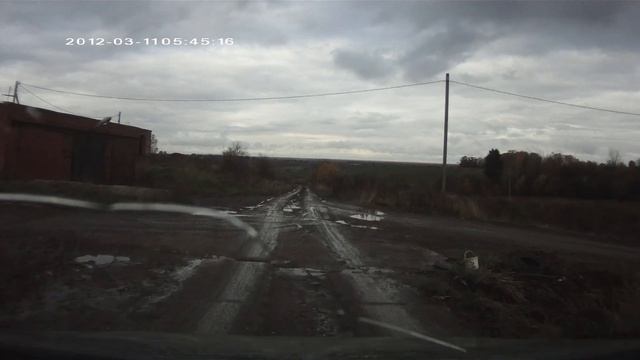 Кот на капоте