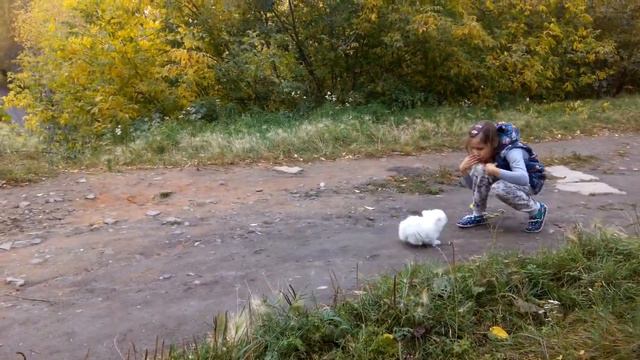 Мальчик продажа +7-912-225-16-51 смотреть онлайн