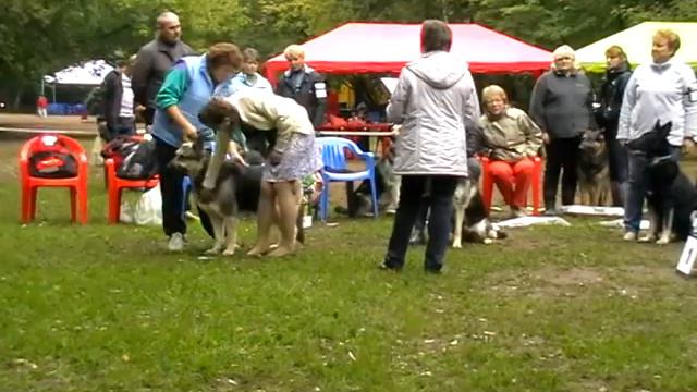 MOV054 Суки чемпионы
