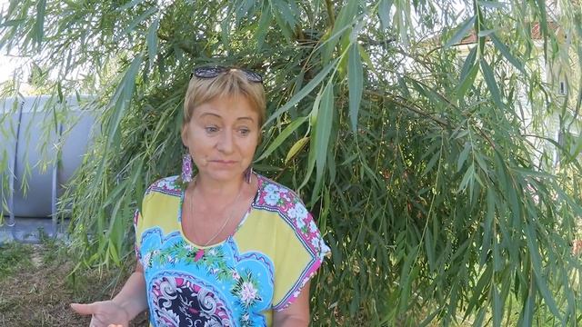 ВЛОГ.Ошибка геодезиста-большие проблемы/Самый вкусный арбуз! смотреть онлайн