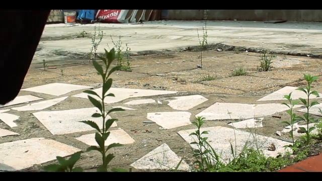 Shue Yan University Danso 2012-2013 Music Video смотреть онлайн