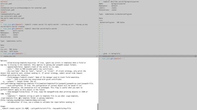 Kubernetes With Java - Secrets(passwords etc) From File & Directory, TLS & DockerRegistry Secrets смотреть онлайн