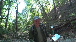 Сколько можно заработать на покосе травы??? Доход за июнь! Бизнес на косе!