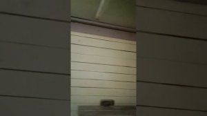 Баня засыпная опилом