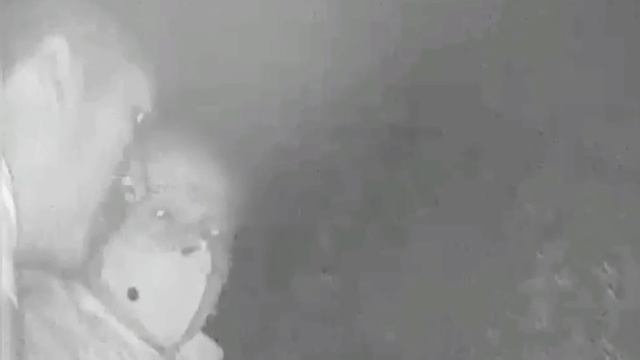 ESTO ES LO Q HAY EN UN CINE PARA ADULTO / CONOCE EL CINE RIO смотреть онлайн