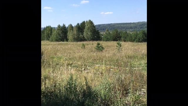 МАЛАЯ САДОВКА ?? ? ? ? смотреть онлайн
