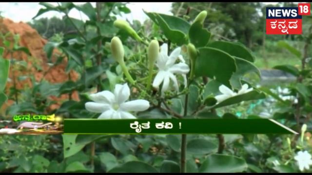 ಅನ್ನದಾತ: How To Get Rid Of Lead-spots & Bacterial Diseases | Aug 27, 2018 смотреть онлайн