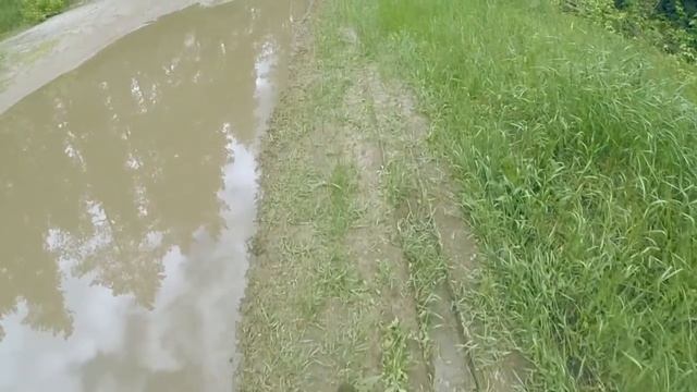 ebike move green смотреть онлайн