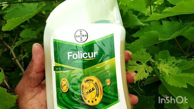 Folicur Medicine смотреть онлайн