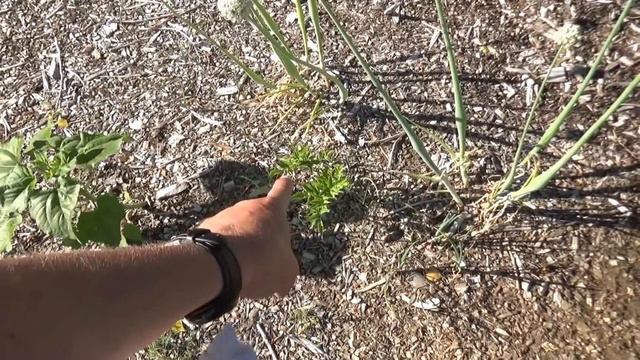 Karma Update 06 30 18 Back To Eden Garden L2Survive with Thatnub смотреть онлайн