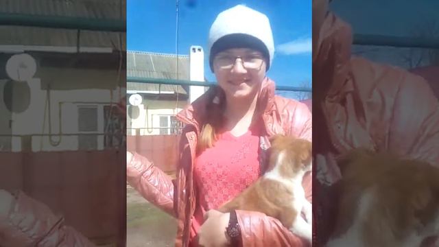 Челендж 2 часть прогулка с щенком без поводка смотреть онлайн