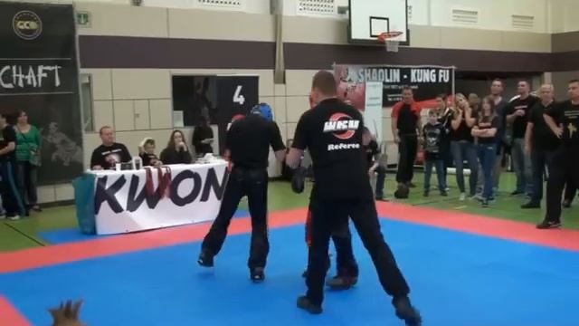 DM 2014 Bogdan Gerasymenko Kickboxing Sambo-Combat Koblenz смотреть онлайн