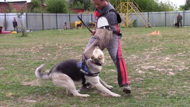 Веолар Дарина "снятие" смотреть онлайн