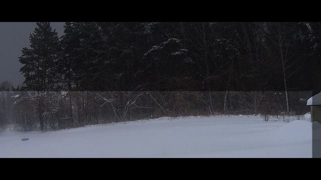 Зайцы в огороде . Фотоохота на зайца смотреть онлайн