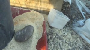 Курятник из панелей."Американская ферма"