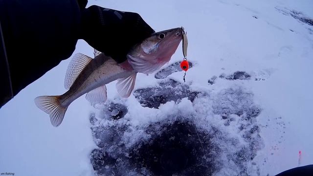 Как поймать СУДАКА на течении Эта СНАСТЬ ЛОВИТ! Зимняя Рыбалка смотреть онлайн