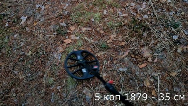 Тест на полигоне - Minelab Equinox 800 режим Золото 1 (11