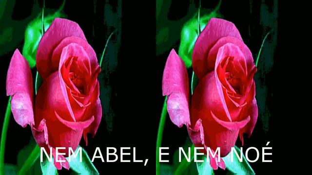 O nome - Nelson Ned - {Érica Schneider} смотреть онлайн