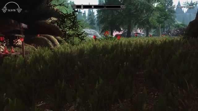 ОСТРОВ САММЕРСЕТ #6. Королева сердец | Skyrim mod смотреть онлайн