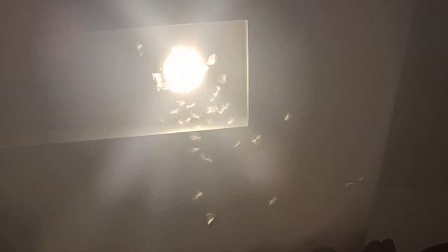 Ежевечерне это надо перед сном изгнать из дома... смотреть онлайн