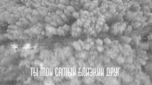 СТИХ ПРО МОЕГО БРАТА. МОЙ БРАТ (ЧИТАЕТ БАГЗИН ИВАН)