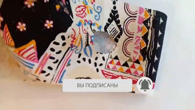 Моделирование и раскрой трусов для собаки / Modeling and cutting of panties for dogs смотреть онлайн