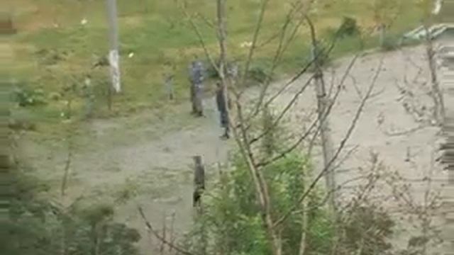 Ekaterinburg today: Syromolotova 7 смотреть онлайн