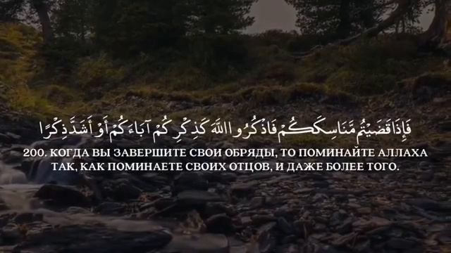 Идрис Абкар сура «аль-Бакара», аяты 197-203//📘 смотреть онлайн