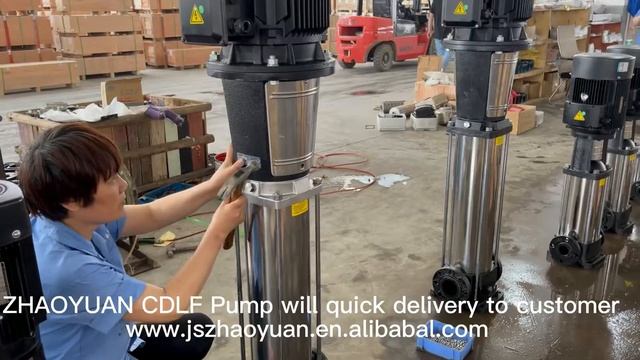 #ZHAOYUAN CDLF Pump will quick delivery to customer смотреть онлайн